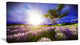 "Lavender Field Under Blue Sky" Modern Landscape Wall Art Canvas, 40"x20"