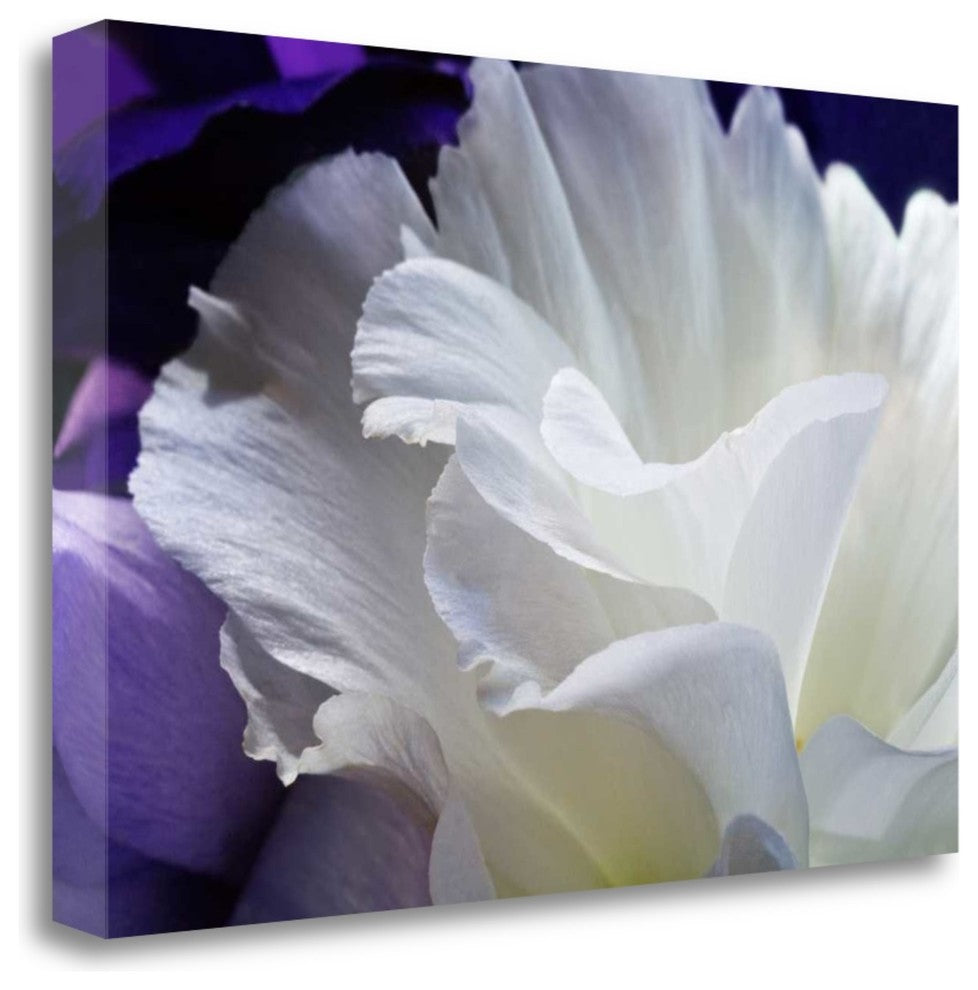 "Lisianthus" By Amalia Veralli,Ready to Hang Giclee Print on Gallery Wrap Canvas