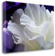 "Lisianthus" By Amalia Veralli,Ready to Hang Giclee Print on Gallery Wrap Canvas
