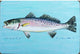 Betsy Drake Speckled Trout 30 Inch By 50 Inch Comfort Floor Mat
