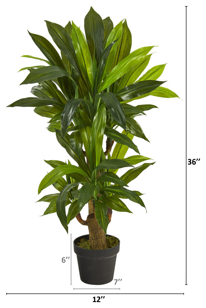3' Corn Stalk Dracaena Artificial Plant, Real Touch
