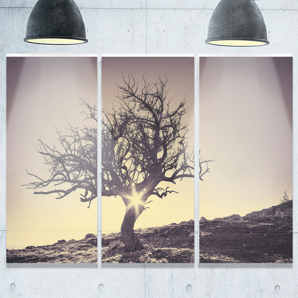 "Lonely Gray Tree in Mountain" Metal Landscape, 3 Panels, 36"x28"