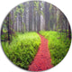 Desert Footpath To Misty Forest, Landscape Round Metal Wall Art, 38"