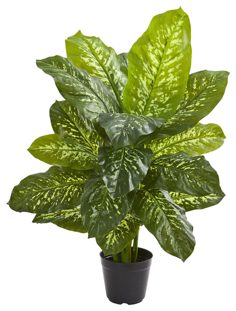 34" Dieffenbachia Artificial Plant, Real Touch