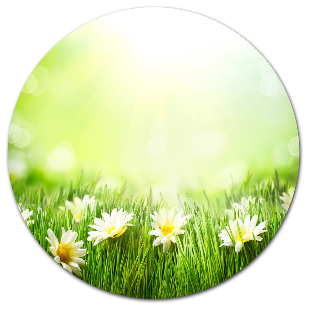 Spring Meadow With Daisies, Animal Disc Metal Wall Art, 36"