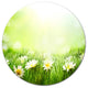 Spring Meadow With Daisies, Animal Disc Metal Wall Art, 36"
