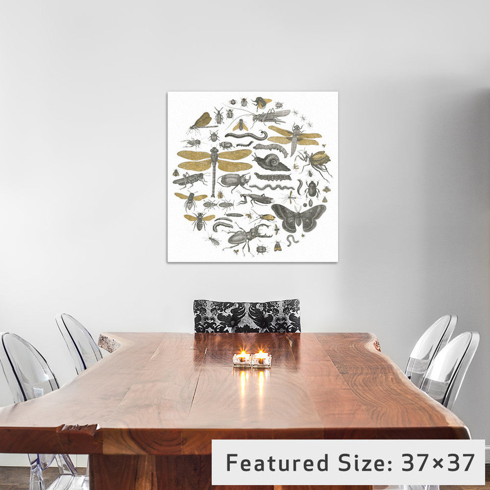 "Insect Circle I" by Wild Apple Portfolio, 26x26x1.5