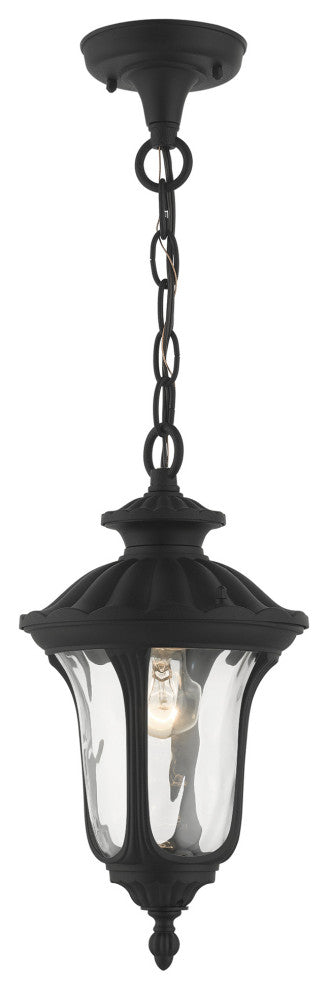 Textured Black Traditional, Victorian, Sculptural, Outdoor Pendant Lantern