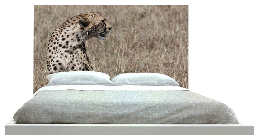 "Cheetah 17" Headboard