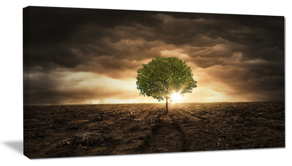 "Lonely Tree Under Dramatic Sky" Wall Art Landscape, 40"x20"