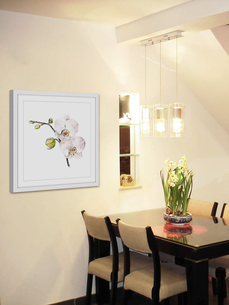 "Orchid" Framed Print by Rachel Byler