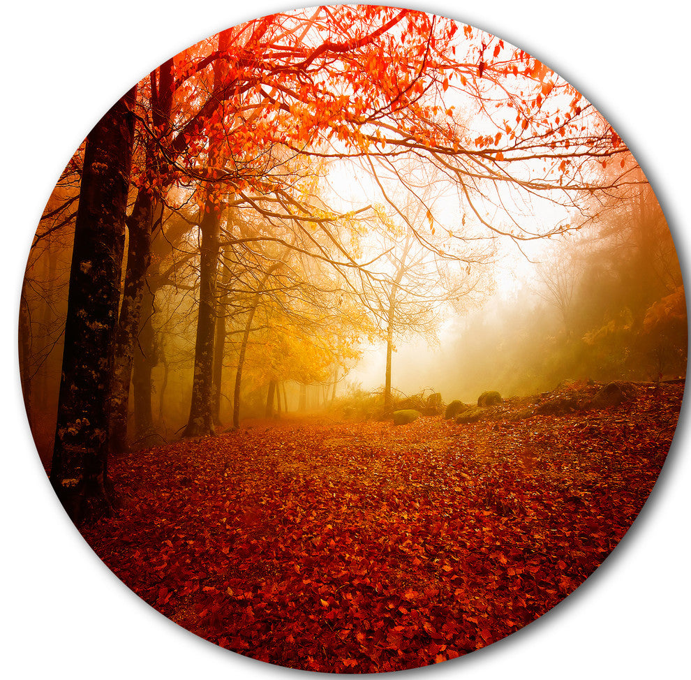 Yellow Sun Rays In Red Forest, Landscape Photo Round Metal Artwork, 36"