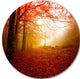 Yellow Sun Rays In Red Forest, Landscape Photo Round Metal Artwork, 36"