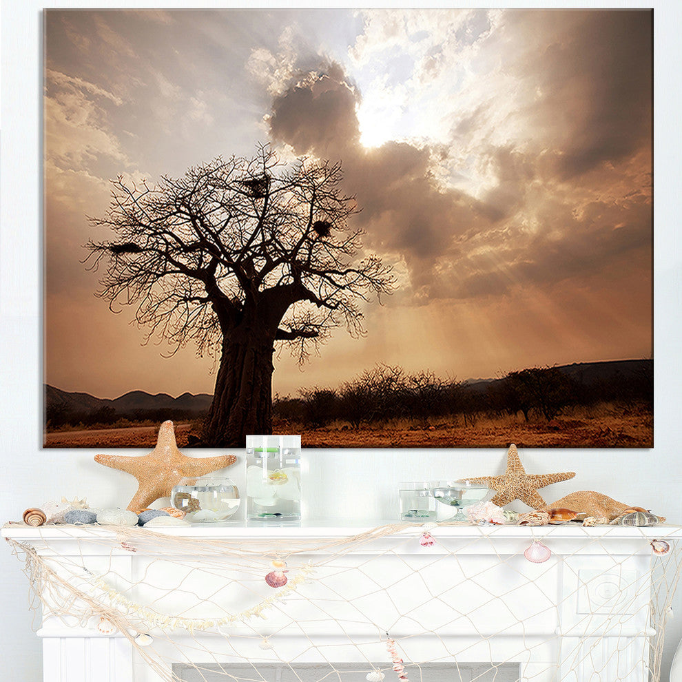 "Large Baobab Tree Under Clouds" Modern Landscape Wall Art Canvas, 32"x16"