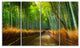 "Arashiyama Bamboo Grove Japan" Oversized Forest Wall Art, 4 Panels, 48"x28"