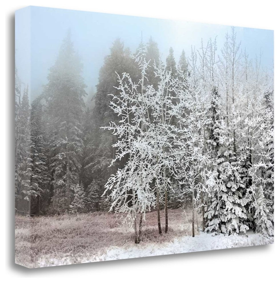 "Frosty Morning" By Mike Jones,Ready to Hang Giclee Print on Gallery Wrap Canvas