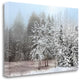 "Frosty Morning" By Mike Jones,Ready to Hang Giclee Print on Gallery Wrap Canvas
