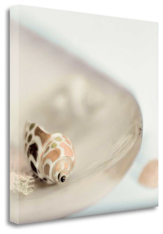 "Lagoon Tidepool - 2" By Alan Blaustein, Giclee Print on Gallery Wrap Canvas