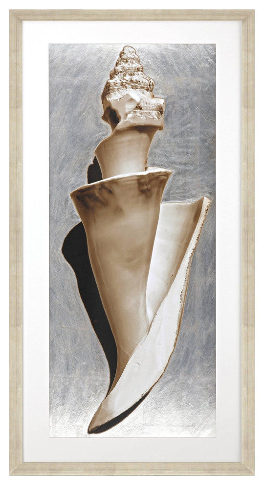 Modern Shell II Framed Art