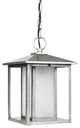 Generation Lighting Lighting LED Outdoor Pendant, Weathered Pewter