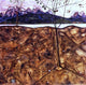 Egon Schiele River Landscape - 20" x 20" Premium Canvas Print