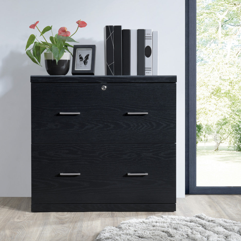 Alpine 2-Drawer Lateral File With Lockdowel Fastening System, Black Finish