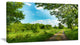 Green Forest Road and Blue Sky, Modern Landscape Canvas Art, 32"x16"