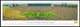 Michigan, University Of, Football, 50 Yard Line, Standard Frame