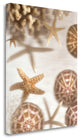 "Nautical Illuminations No.3" By Alan Blaustein, Giclee on Gallery Wrap Canvas