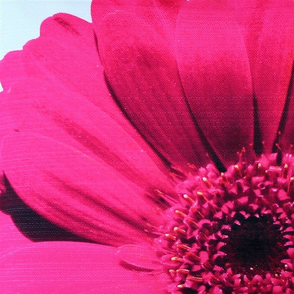 Pillow Decor - Bold Daisy Flower Pink Throw Pillow 20X20