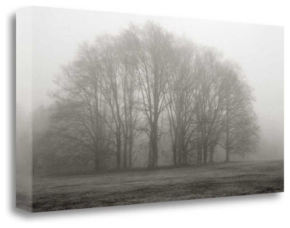 "Gathering Trees" By Michael Iacobellis, Giclee Print on Gallery Wrap Canvas