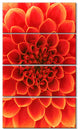 Orange Abstract Floral Design, Floral Canvas Art Print, 28"x48", 4 Panels