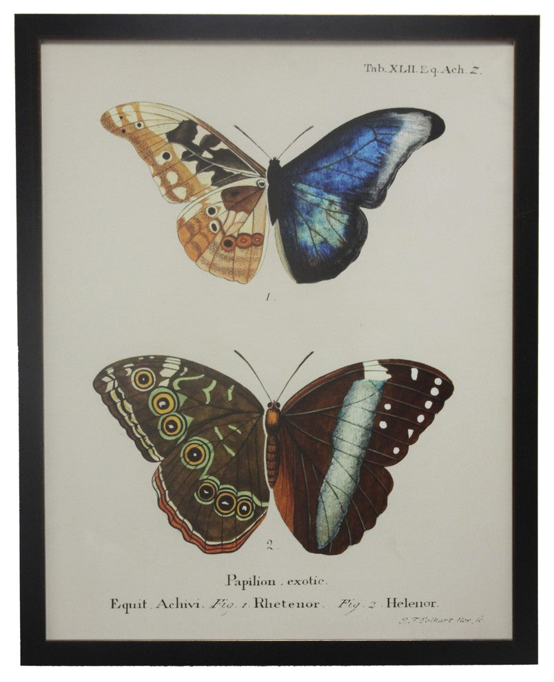 Double Butterfly Tab XLII, Copper and Black Flat Moulding