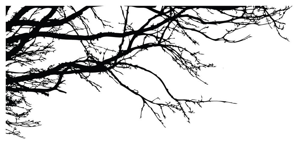 100"x44" Tree Top Branches Wall Decal Vinyl Stickerck