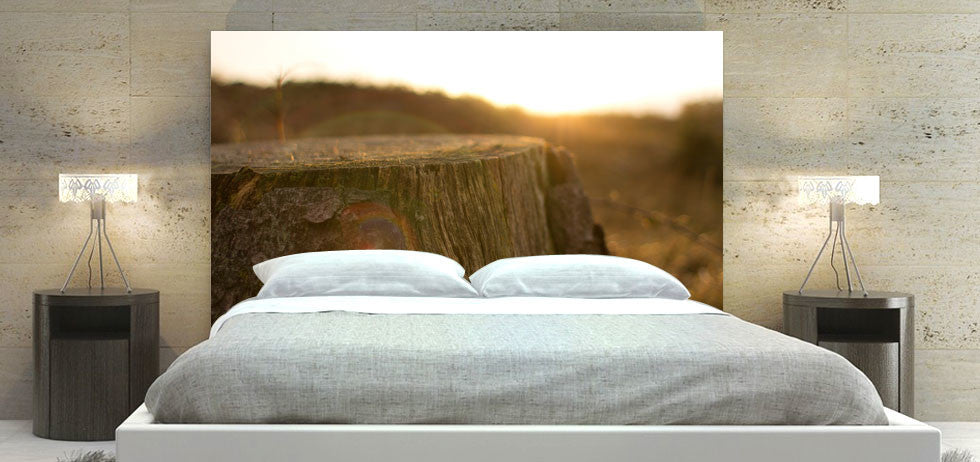 "Sunset Over Stump" Headboard