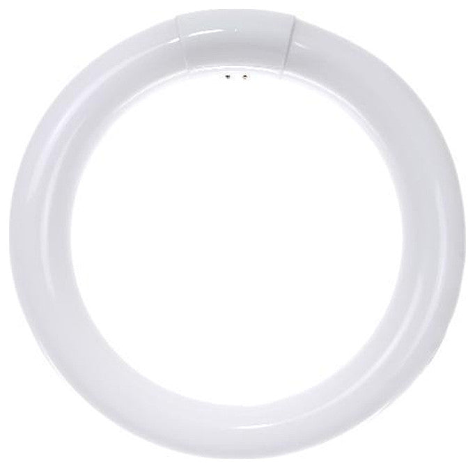 Sunlite 22 Watt T9 Circline, 4-Pin Base, Daylight