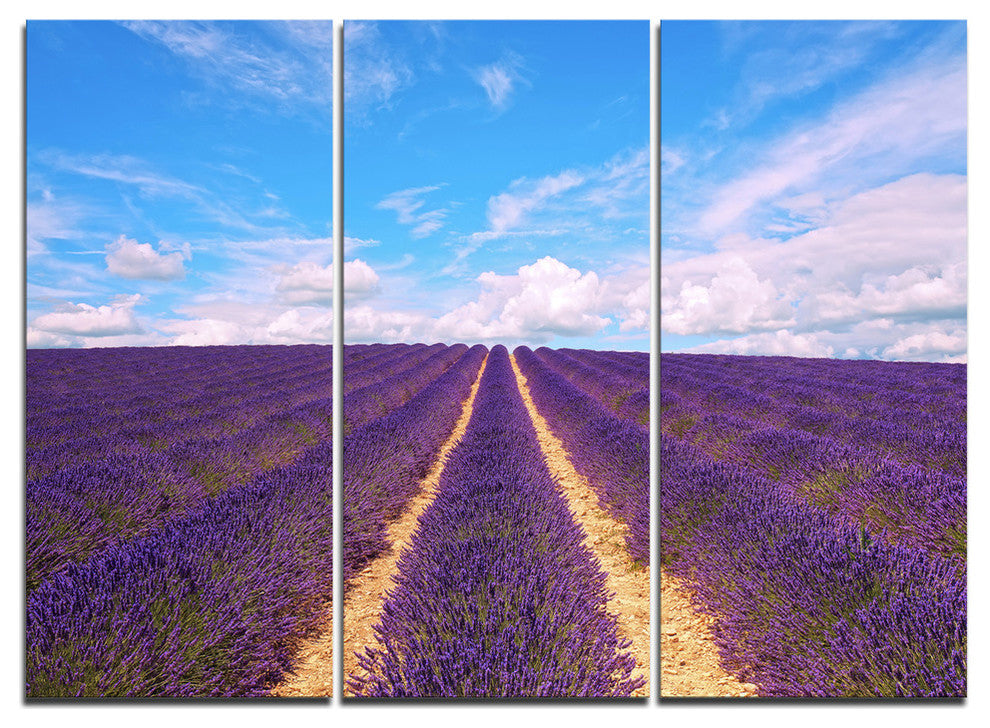 "Blooming Lavender Flower Field" Metal Wall Art, 3 Panels, 36"x28"