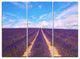 "Blooming Lavender Flower Field" Metal Wall Art, 3 Panels, 36"x28"