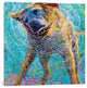 "Sunset Swim Gallery" by Iris Scott, 37"x37"x1.5"