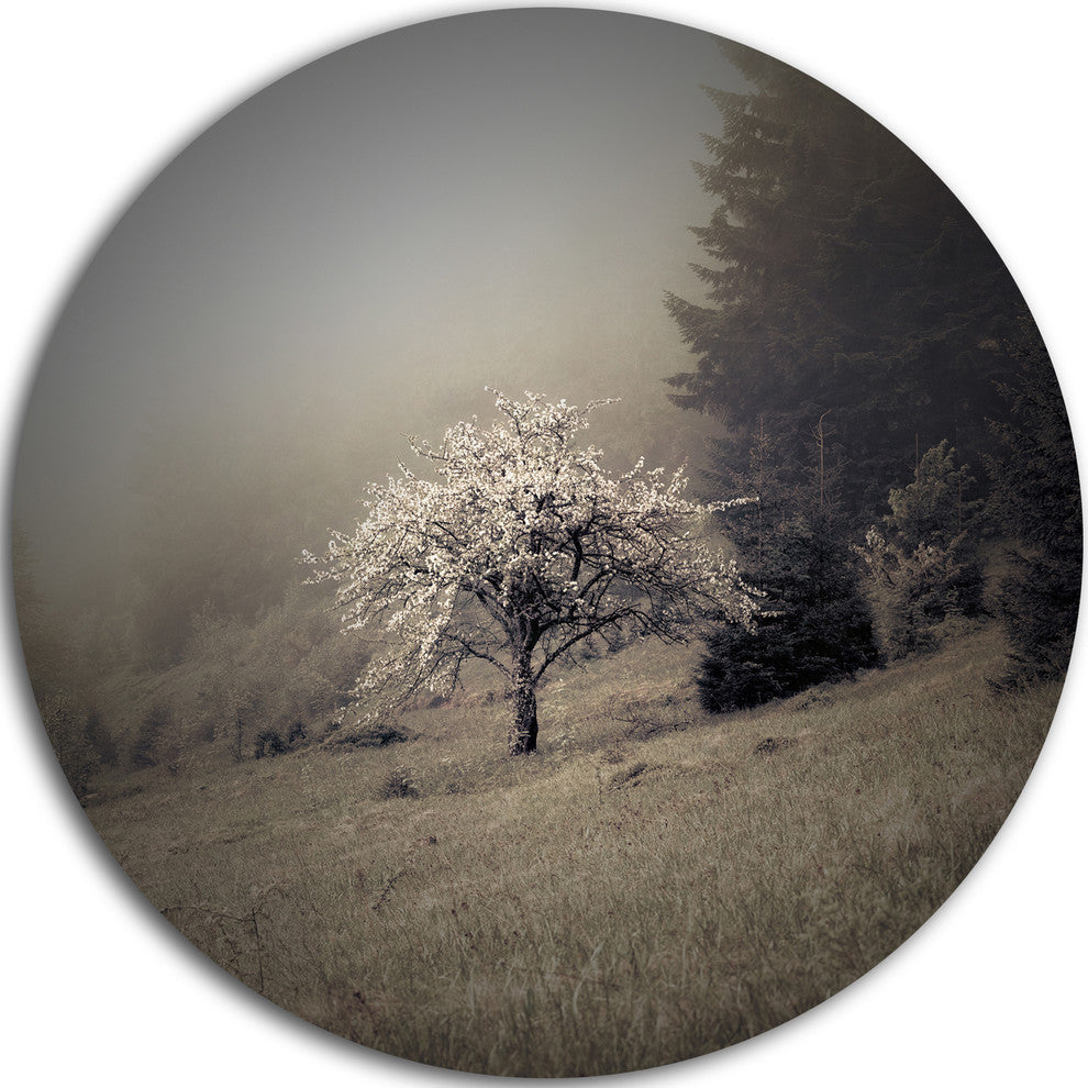 Apple Tree Vintage Style, Landscape Photo Disc Metal Artwork, 23"