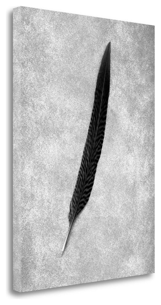 "Feathers - 4" By Alan Blaustein, Giclee Print on Gallery Wrap Canvas