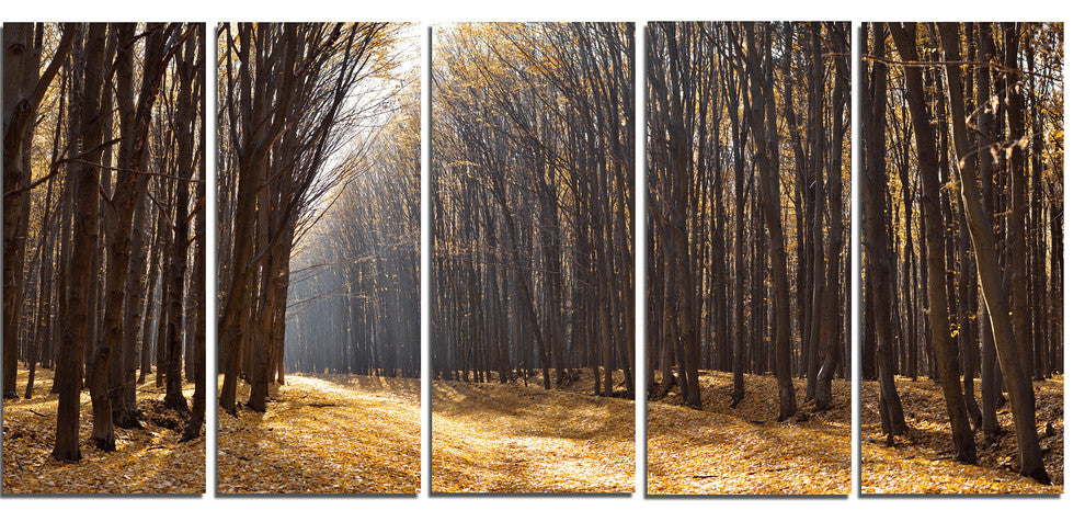 Light in the Forest Path Panorama, Forest Canvas Art Print, 60"x28", 5 Panels