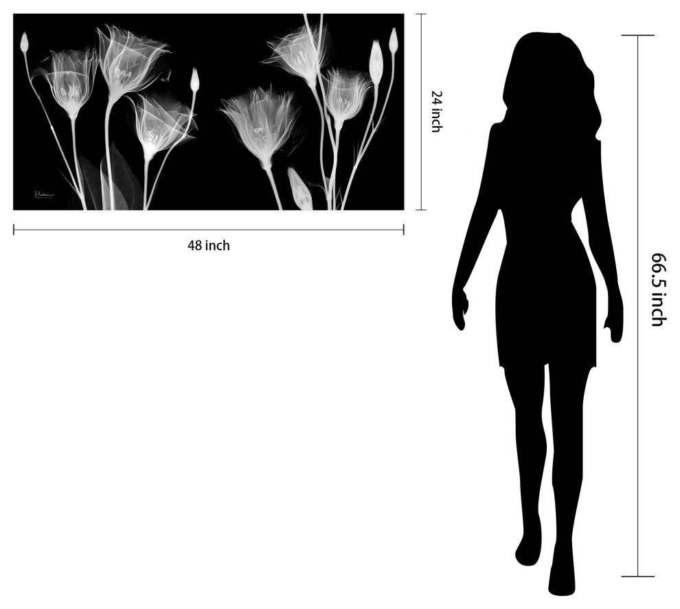 "Gentian Xray" Frameless Free Floating Panel Graphic Wall Art, 24"x48"