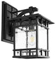 Safavieh Rolran Outdoor Wall Lantern