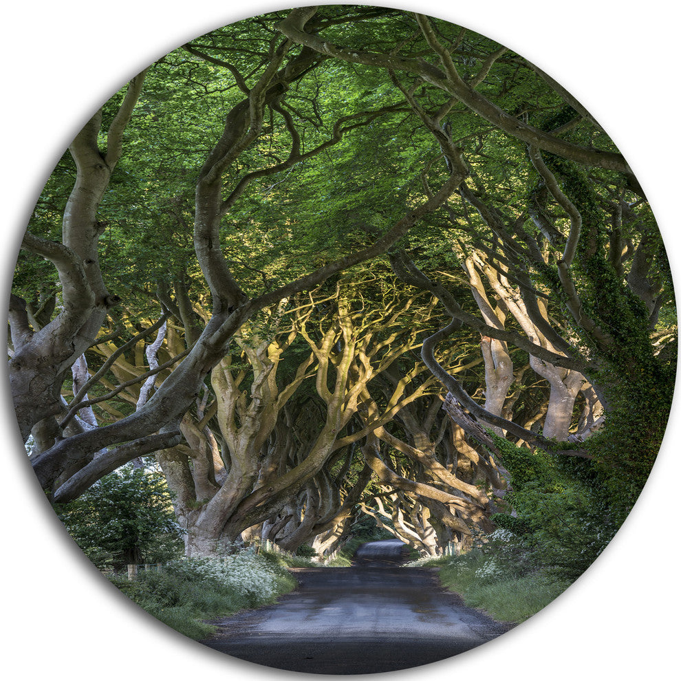 The Dark Hedges, Landscape Photography Disc Metal Artwork, 38"