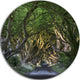 The Dark Hedges, Landscape Photography Disc Metal Artwork, 38"