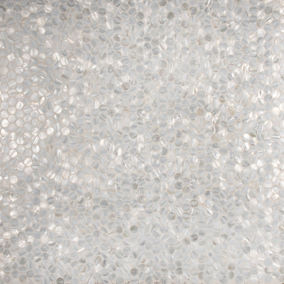 Conchella Penny Mosaic Wall Tile, White
