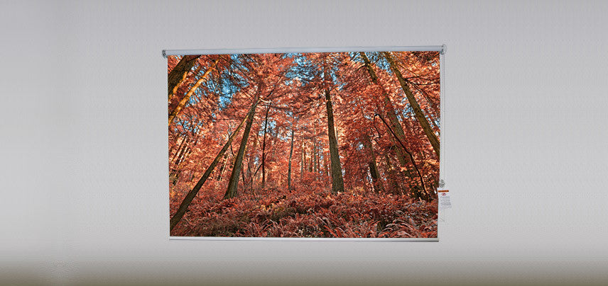 "Autumn Forest" Artwork, 5' Shade, Partial Sheer, Right