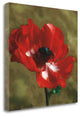 "Brilliance II" By Janel Pahl,Ready to Hang Giclee Print on Gallery Wrap Canvas
