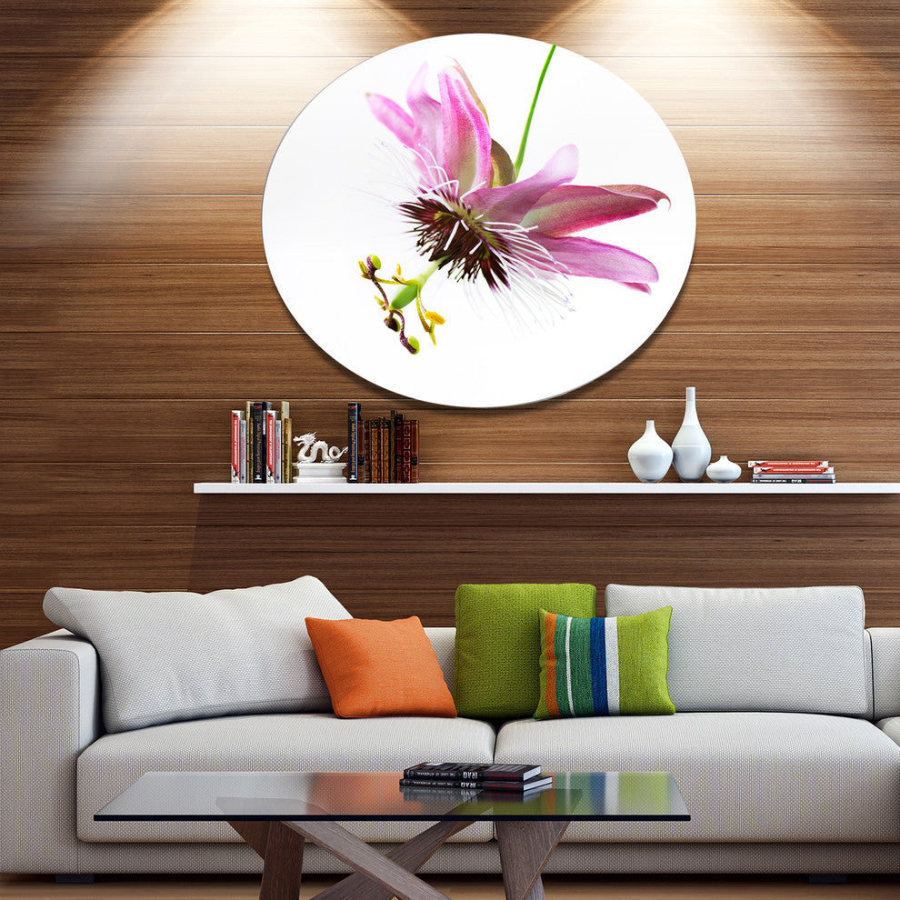 Passiflora Flower Over White, Animal Round Wall Art, 23"